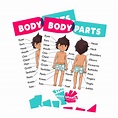 Body Parts / Anatomy / Sex Ed / Private Parts Poster / Printables male ...