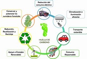 HUELLA ECOLÓGICA : ¿Cómo se mide?