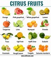 Citrus Fruits Vs Non Citrus - Tere Fruit