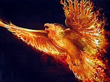 Phoenix | Ologypedia | FANDOM powered by Wikia