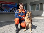 搜救犬退休 到新家享受幸福生活 | 社團法人中華民國保護動物協會