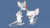 Watch Pinky and the Brain HD for free on MusicHQ