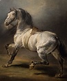Théodore Géricault (1791-1824) "Etude de cheval gris" (huile sur toile ...