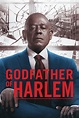 Traducción de Godfather of Harlem (El padrino de Harlem)