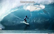 65 Most Funniest Surfing Memes Images, Gifs & Pictures | PICSMINE