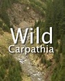 ”Wild Carpathia”: Vezi ce personalități vor promova România | DCNews