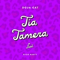 Doja Cat – Tia Tamera Lyrics | Genius Lyrics