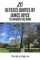 20 Ulysses Quotes by James Joyce to Awaken the Mind