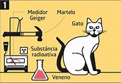 Gato de Schrödinger: entenda o que é o experimento - Galileu | Ciência