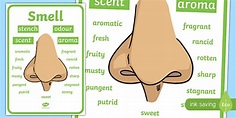 Smell Vocabulary Display Poster