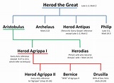 Was Saint Paul Related to Herod? 7 Reasons Paul was Herodian - Taylor ...