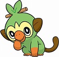 Grookey | Pokémon Wiki | Fandom | Grookey pokemon, Pokemon grookey ...