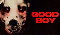 'Good Boy 2023', la película del hombre disfrazado de perro: ¿dónde ver ...