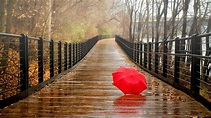 Red umbrella on the bridge - Rainy day Wallpaper Download 3840x2160