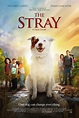 The Stray DVD Release Date February 6, 2018