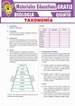 La Taxonomía para Quinto Grado de Secundaria - 1. Sinónimos Biotaxia o ...
