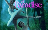 Birds of Paradise: tráiler y póster película estreno Prime Video - TVCinews