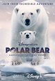 Disneynature’s “Polar Bear” Disney+ Original Trailer Released – What's ...