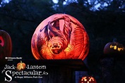 7 Tips for the Jack-O-Lantern Spectacular - Rhode Island Monthly