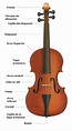 The Master of the Violin: Partes del Violin