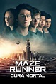 Watch Maze Runner: The Death Cure (2018) Full Movie Online Free ...