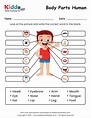 Free Printable Body Parts of Human Worksheet - kiddoworksheets