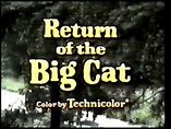 Return of the Big Cat (TV Movie 1974) Jeremy Slate, Pat Crowley,