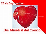 Compartiendo mi opinión: Hoy 29 de Septiembre se celebra el Día Mundial ...