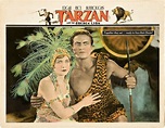 Sección visual de Tarzán y el león dorado - FilmAffinity