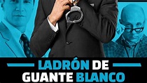 Dónde ver Ladrón de guante blanco: ¿Netflix, HBO o Amazon? – FiebreSeries