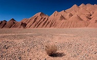 Puna de Atacama: ubicación, lugares turísticos y mucho más