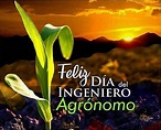 Total 62+ imagen frases para el dia del agronomo - Abzlocal.mx