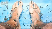 10年沒洗幾次腳！ 男做足浴「整池魚臭死」│魚療│洗腳│工程師│TVBS新聞網