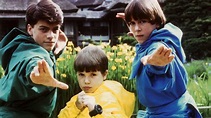 ¿Dónde ver '3 ninjas contraatacan (1994)'? | Netflix España | Bestflix