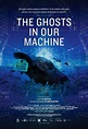 The Ghosts in Our Machine (Film, 2013) - MovieMeter.nl