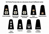 Police Officer Rank Structure | Images and Photos finder