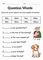 question words worksheet for grade 1 or 2 - wh questions exercises for ...