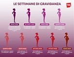 Calcolo settimane di gravidanza: la guida completa - Melarossa