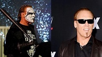 Sting Wrestler Without Makeup : Sting Teases Dream Undertaker Match ...