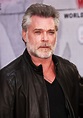Ray Liotta Picture 46 - Los Angeles Premiere of Disney's Muppets Most ...