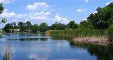 North Triplet Lake in Casselberry, Florida image - Free stock photo ...