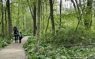 Seidman Park: Boardwalks & Creek Highlight This Popular Natural Trail ...