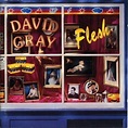 David Gray - Flesh Lyrics and Tracklist | Genius