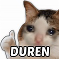Meme Gato Duren : 22 Meme Gato Triste Png | Istrisist