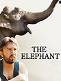 The Elephant Pictures - Rotten Tomatoes