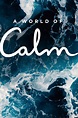 A World of Calm (serie 2020) - Tráiler. resumen, reparto y dónde ver ...
