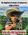 Total 62+ imagen frases para el dia del agronomo - Abzlocal.mx