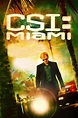 Assistir CSI: Miami Online Gratis (Serie HD)