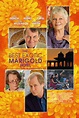 The Best Exotic Marigold Hotel (2011) - IMDb