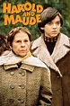 Harold and Maude Free Online 1971